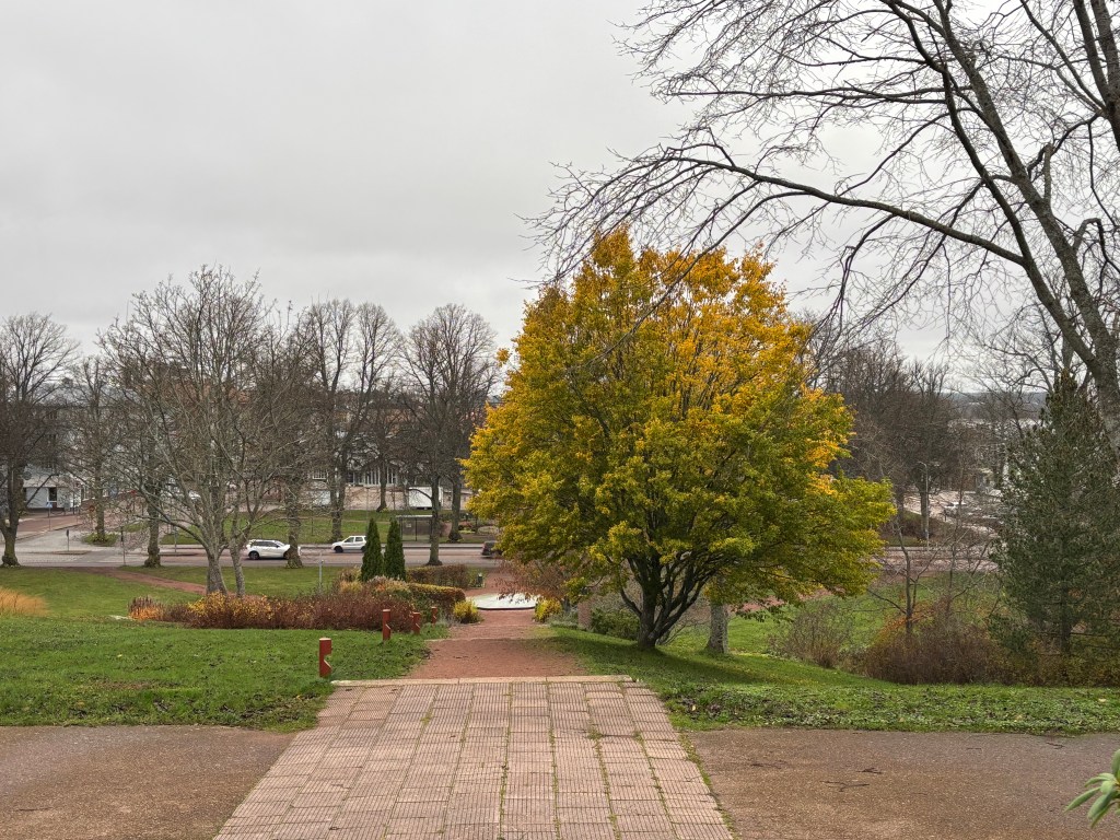 A view from the Town Hill